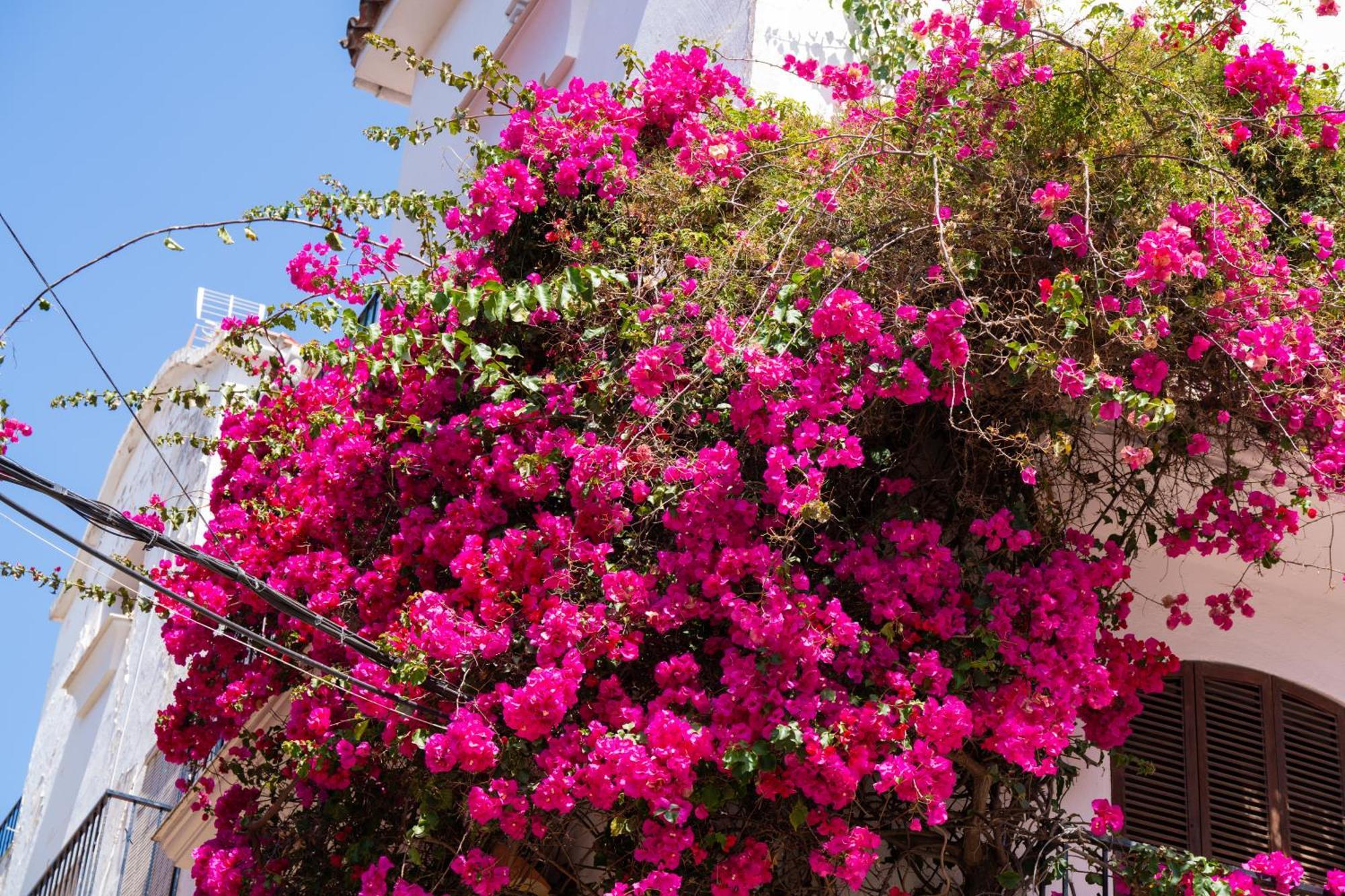Marbella Luxury Duplex 106 Close To The Beach Dış mekan fotoğraf